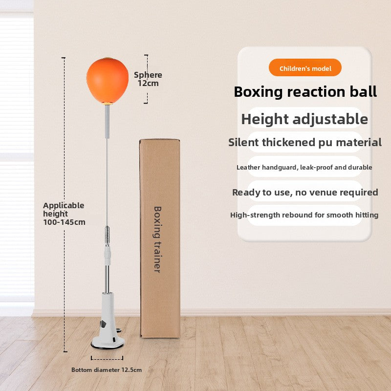 Boxing Punching ball