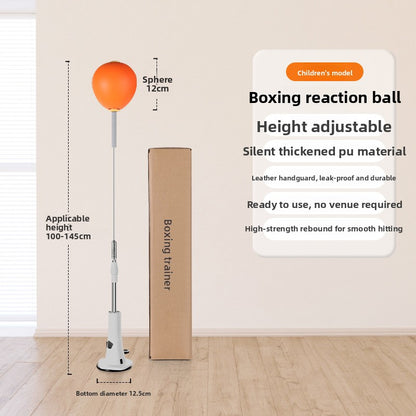 Boxing Punching ball
