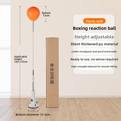 Boxing Punching ball