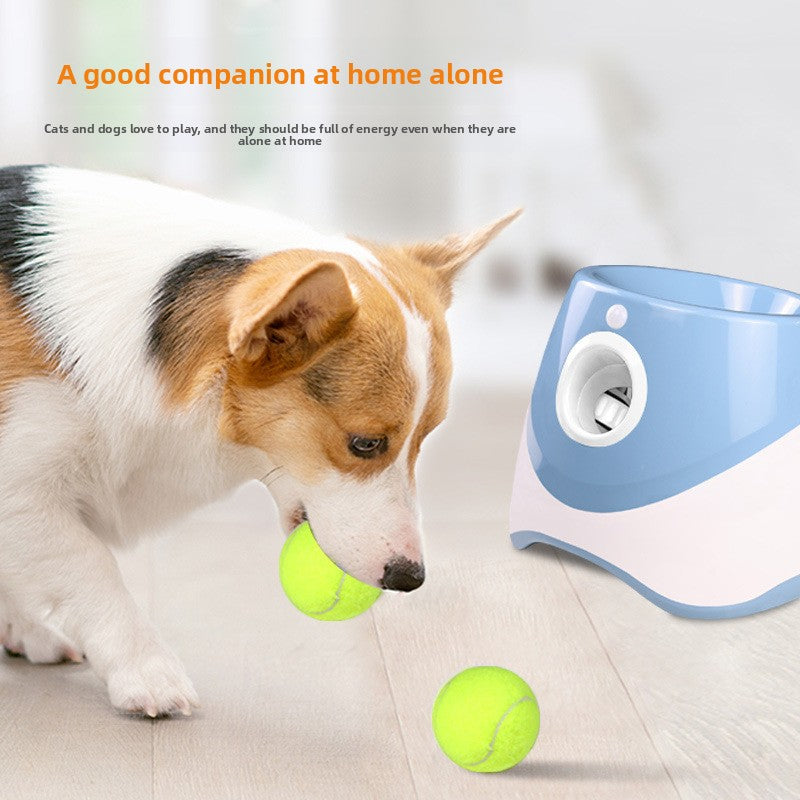 Automatic Dog Ball Launcher with Tennis Balls